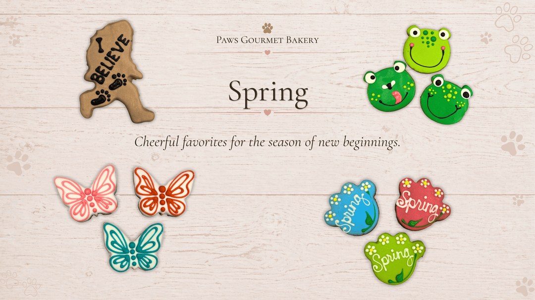 Spring Collection