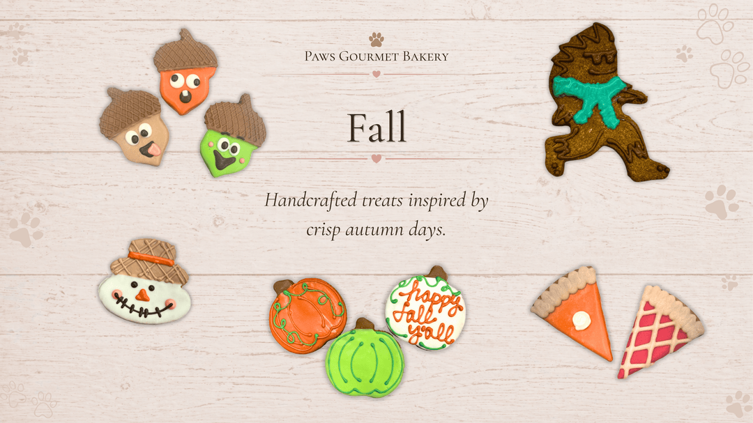 Fall Collection