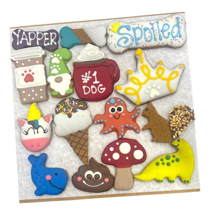 Paws Favorites Discovery Tray