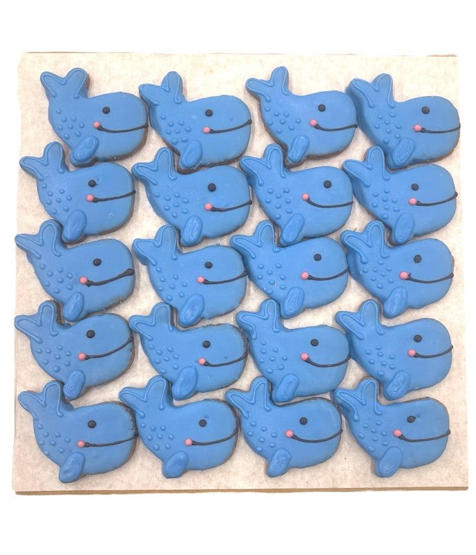 Blue Whales