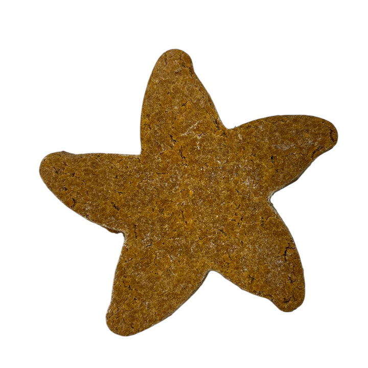 Custom Starfish