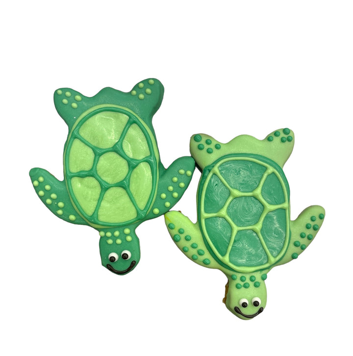 Sea Turtles