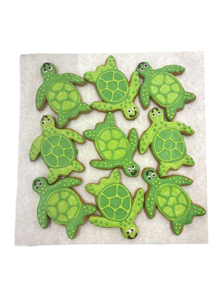 Sea Turtles