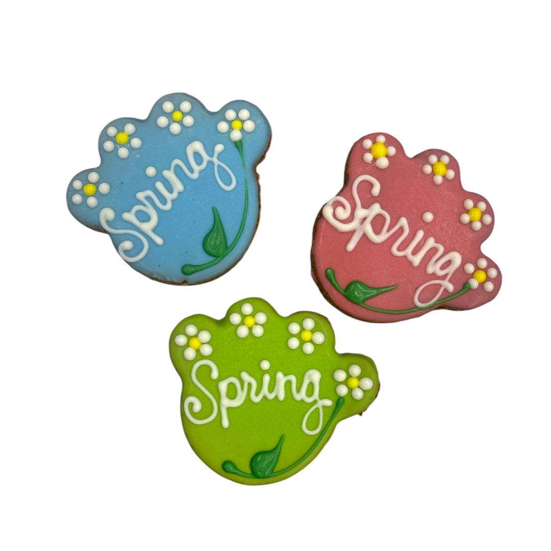 Spring Paws